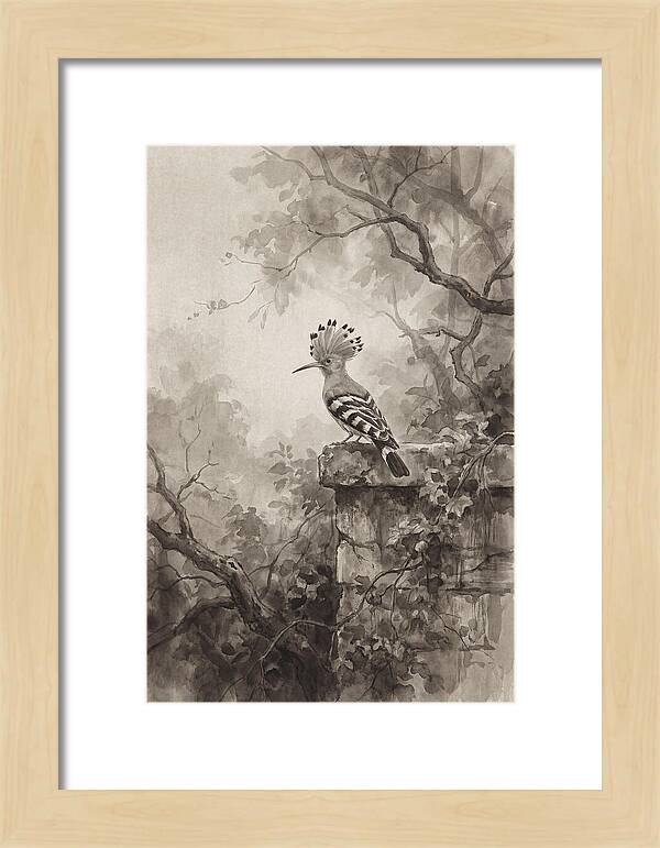 Hoopoe Bird In Serene Garden