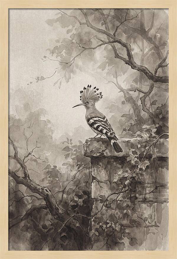Hoopoe Bird In Serene Garden