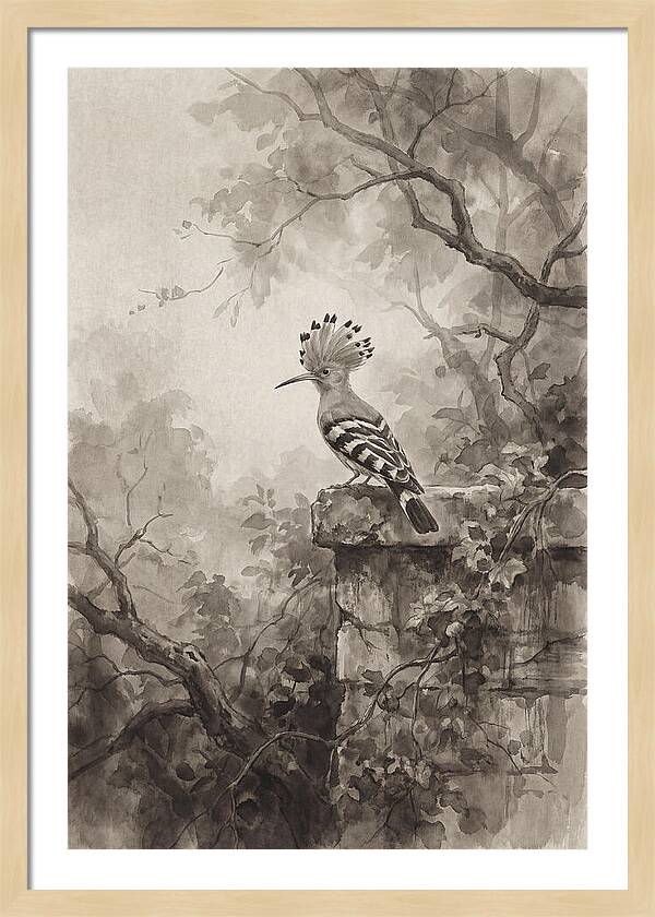 Hoopoe Bird In Serene Garden