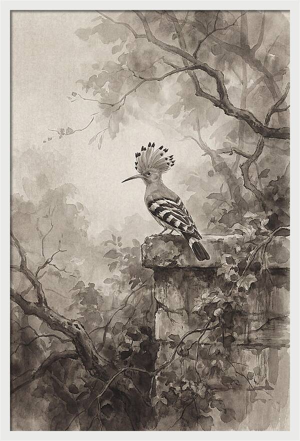 Hoopoe Bird In Serene Garden