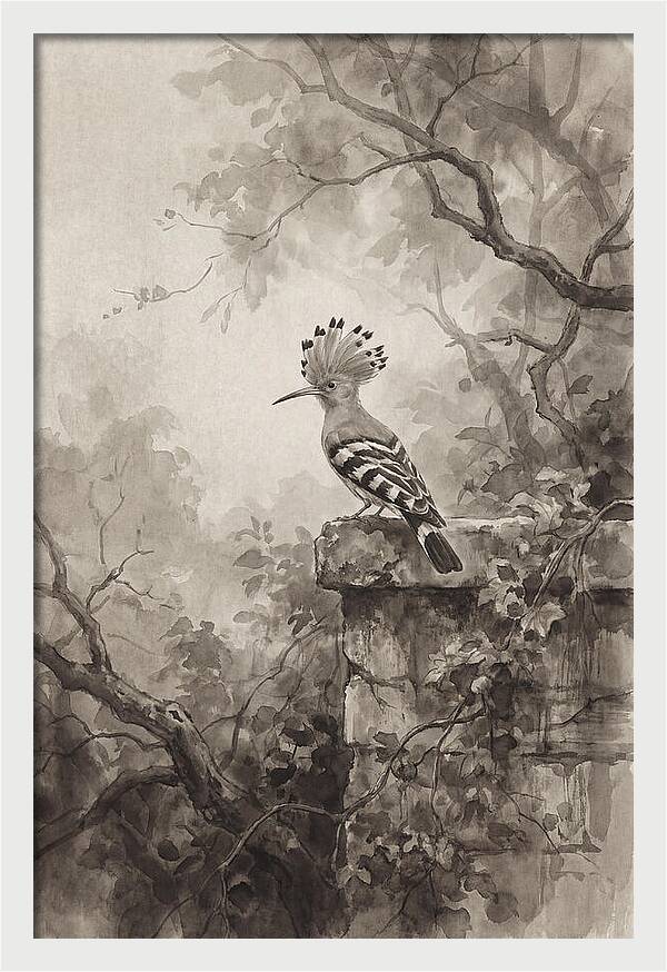 Hoopoe Bird In Serene Garden