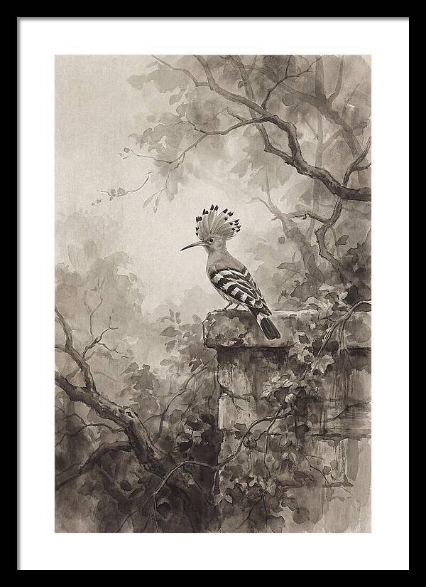 Hoopoe Bird In Serene Garden