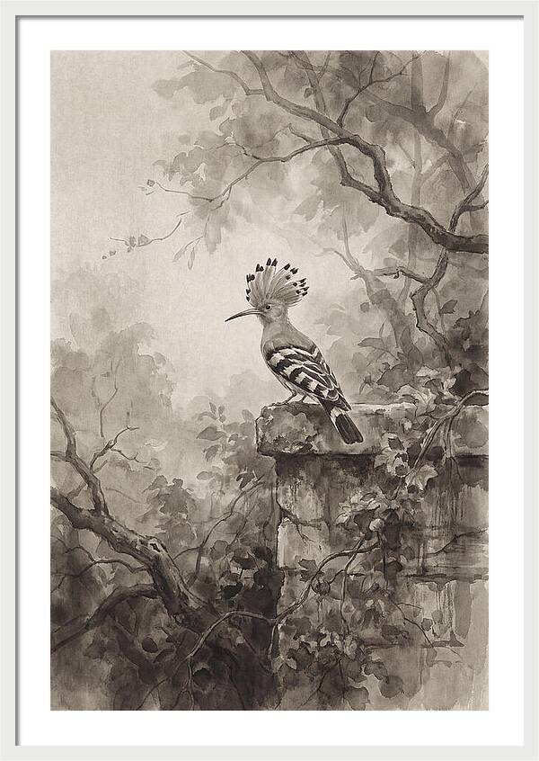 Hoopoe Bird In Serene Garden