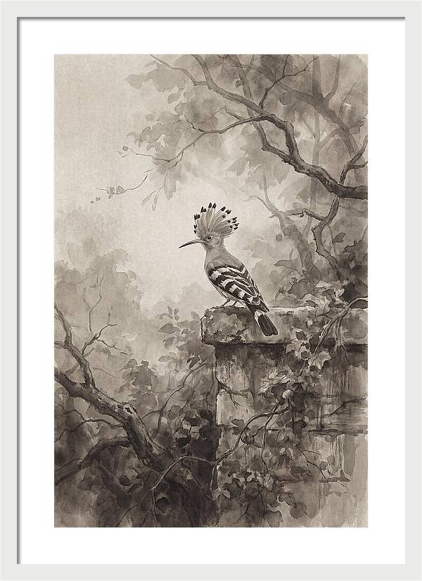 Hoopoe Bird In Serene Garden