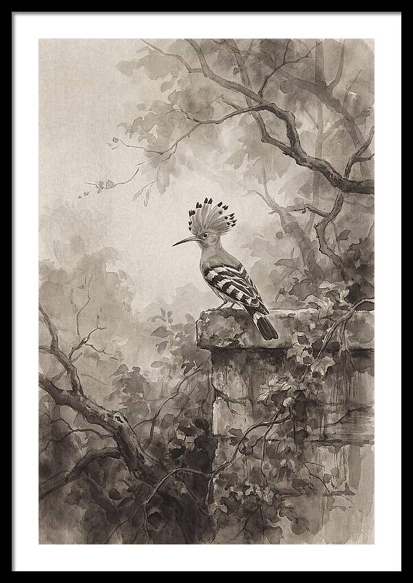 Hoopoe Bird In Serene Garden