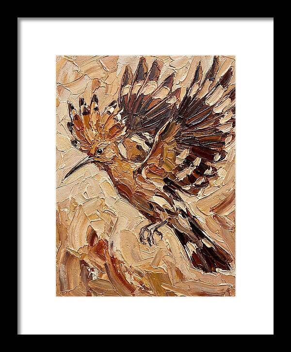 Hoopoe In Flight