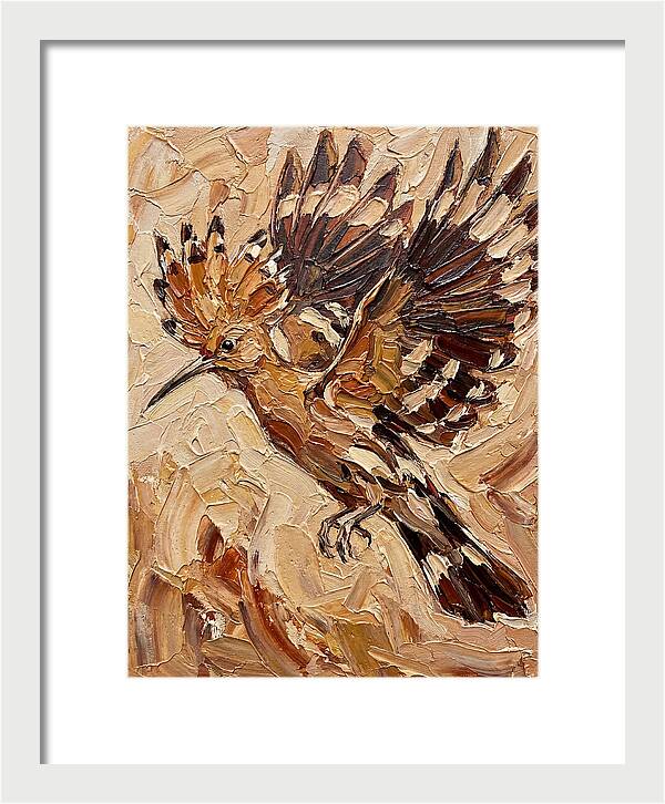 Hoopoe In Flight
