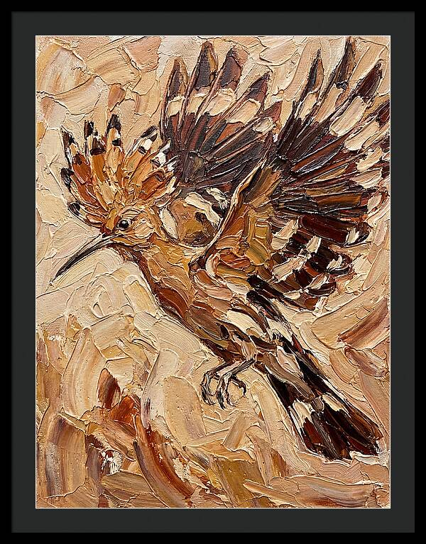 Hoopoe In Flight