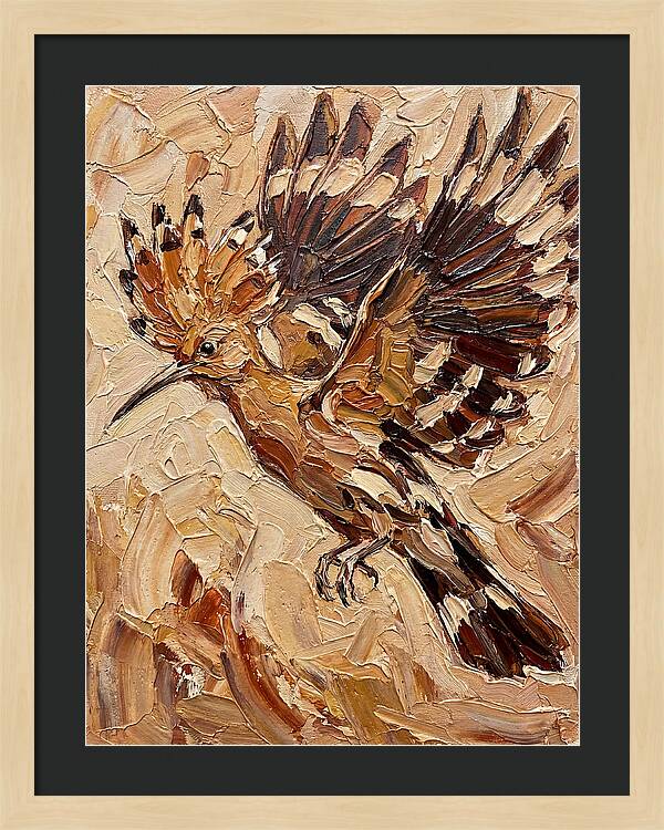 Hoopoe In Flight