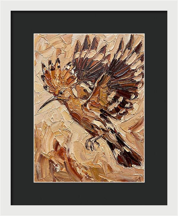 Hoopoe In Flight