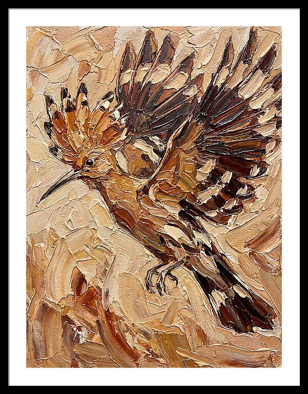 Hoopoe In Flight
