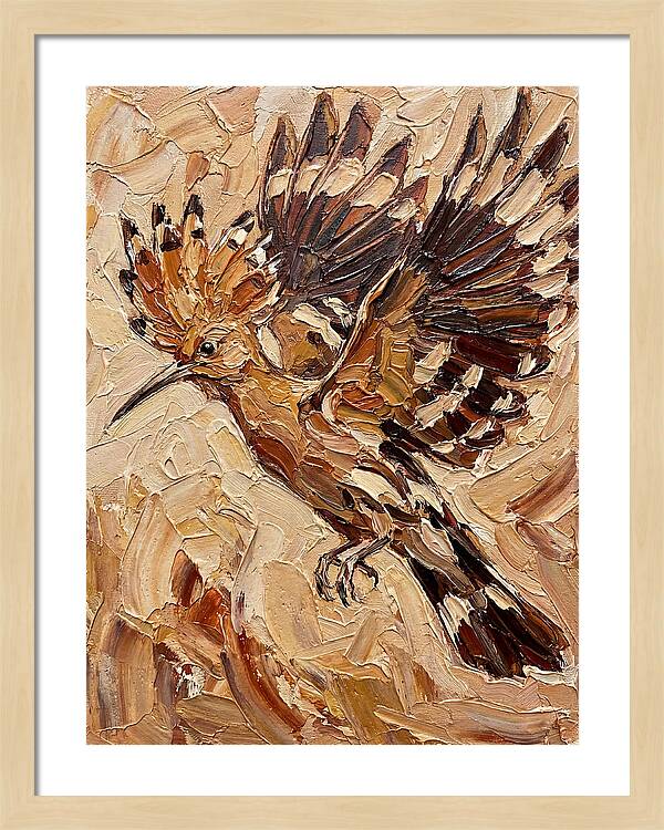 Hoopoe In Flight