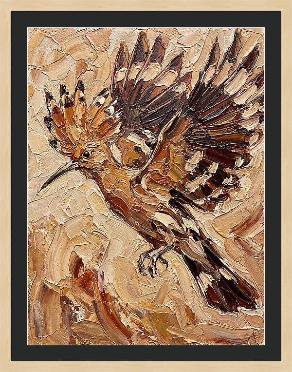 Hoopoe In Flight