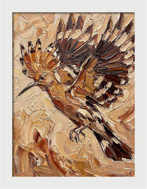 Hoopoe In Flight