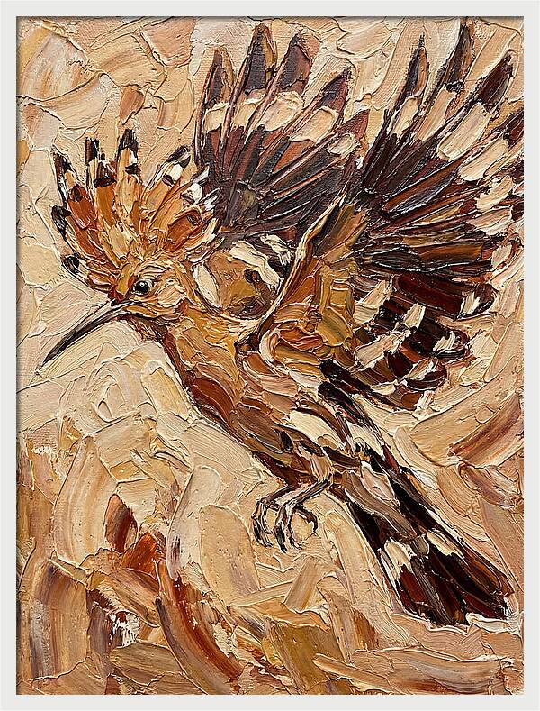 Hoopoe In Flight