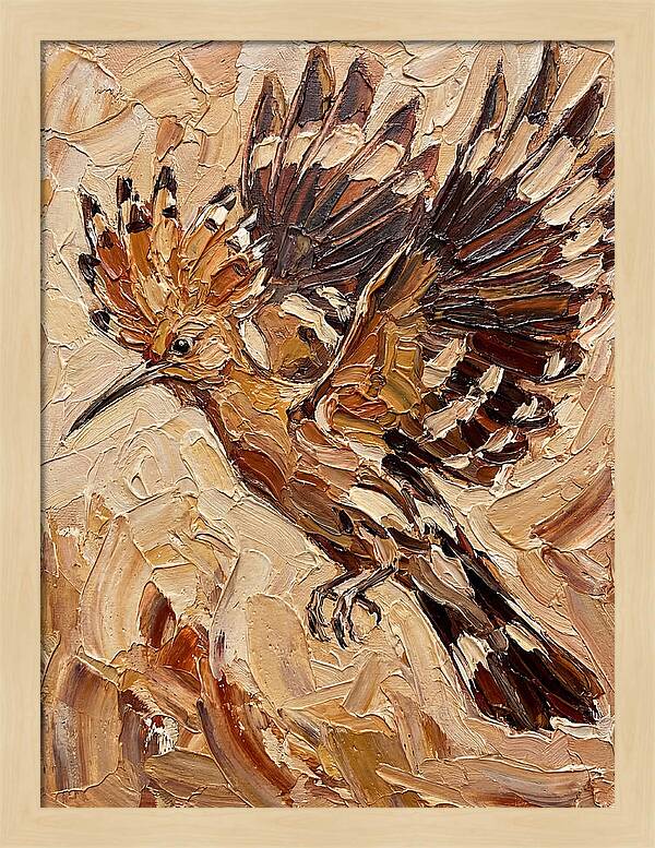 Hoopoe In Flight