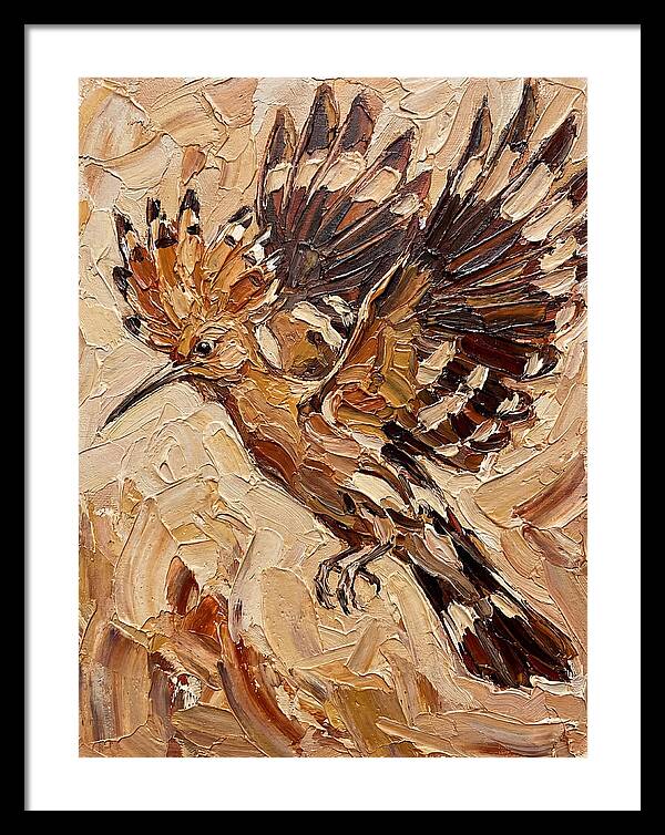 Hoopoe In Flight