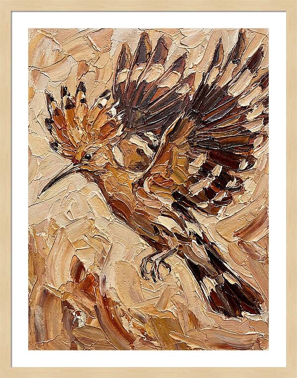 Hoopoe In Flight