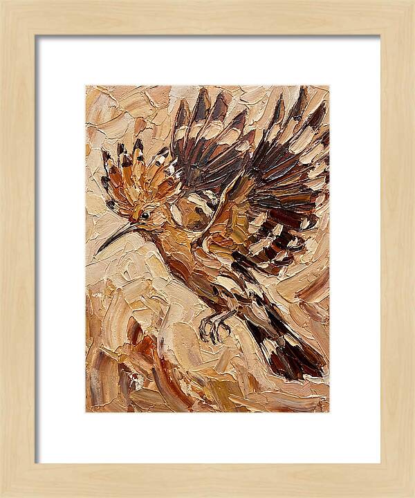 Hoopoe In Flight