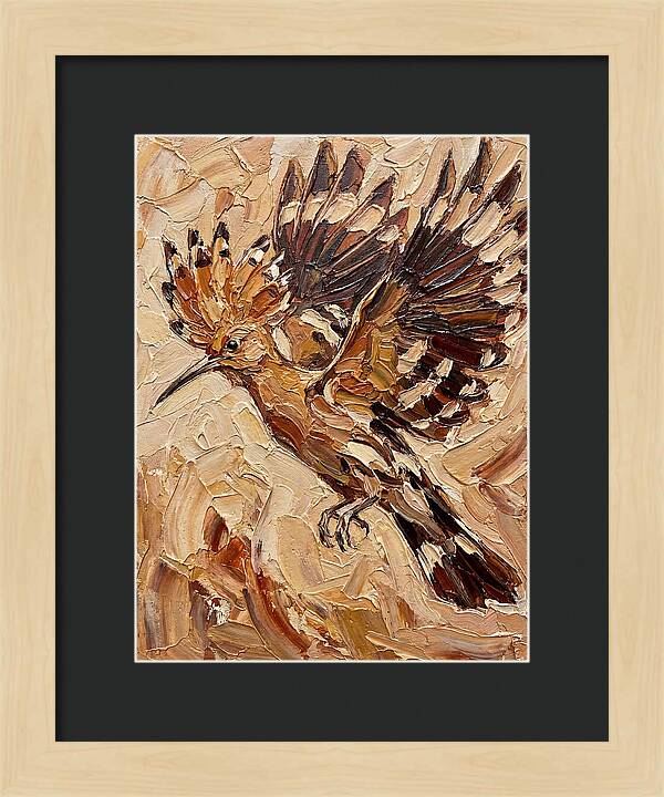 Hoopoe In Flight