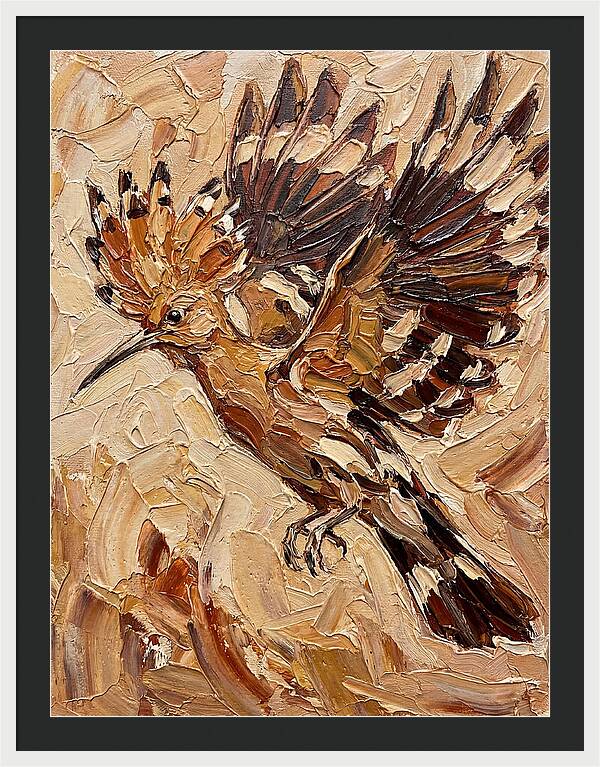 Hoopoe In Flight