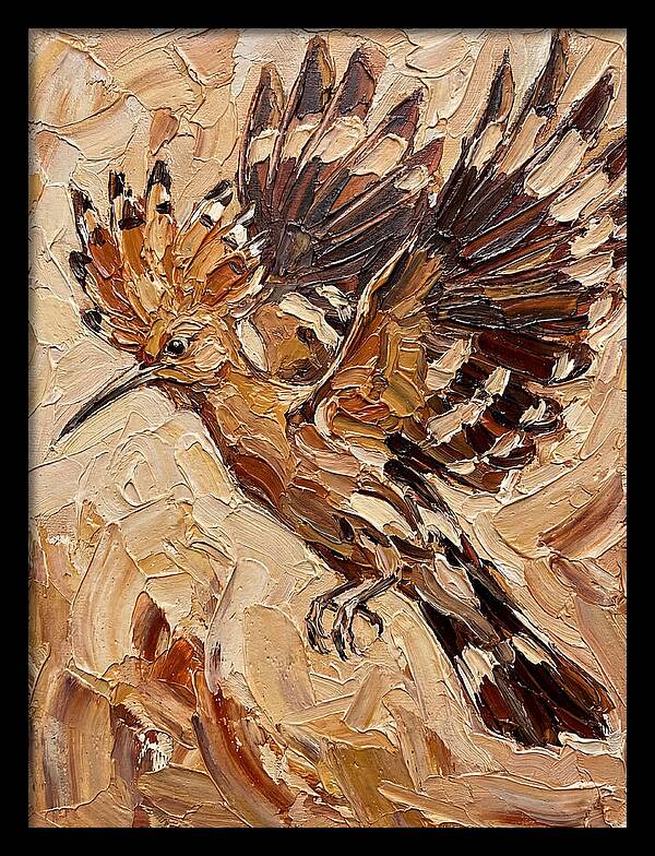 Hoopoe In Flight