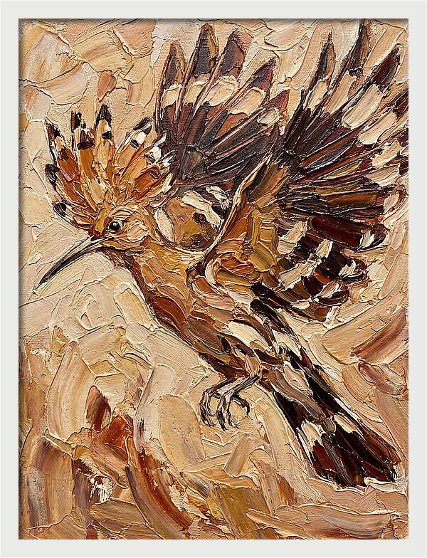 Hoopoe In Flight
