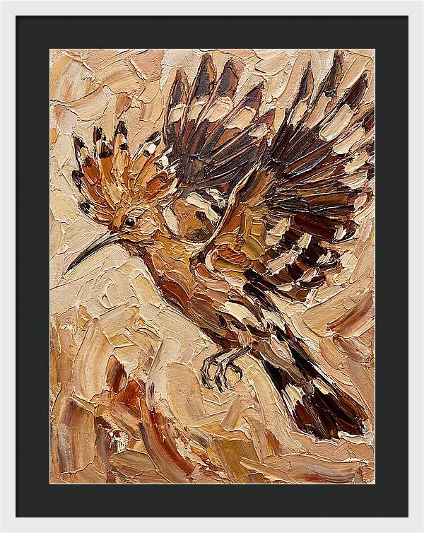 Hoopoe In Flight