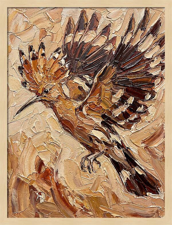 Hoopoe In Flight