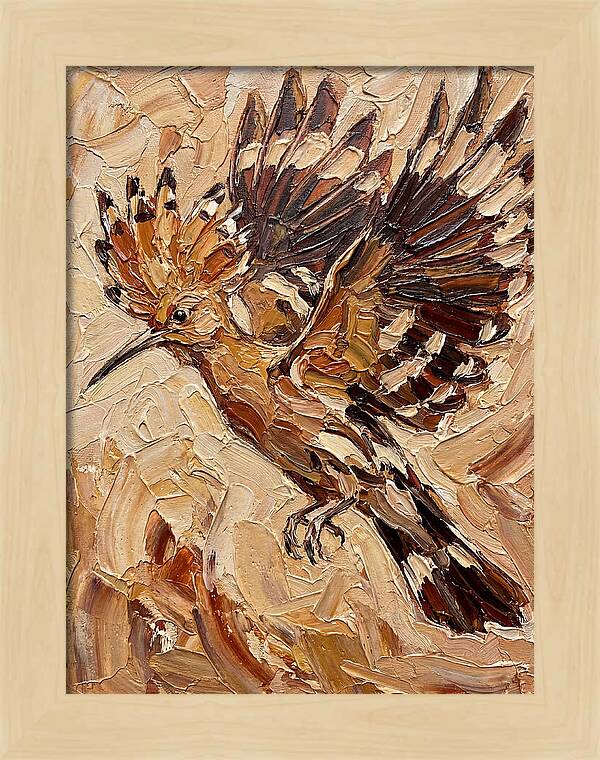 Hoopoe In Flight