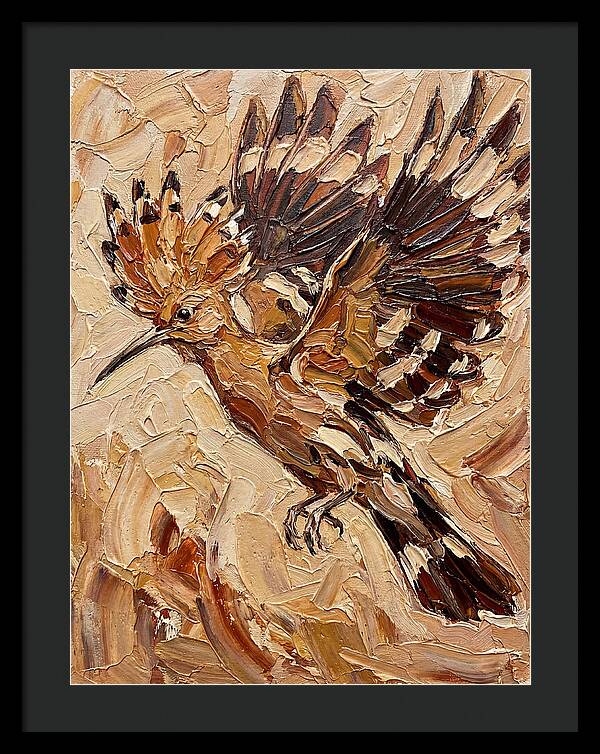 Hoopoe In Flight