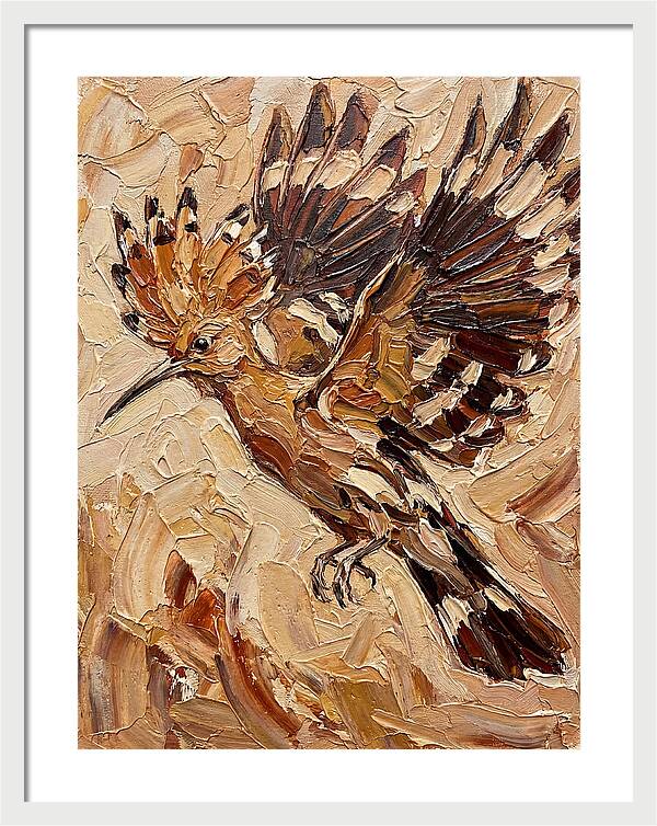 Hoopoe In Flight