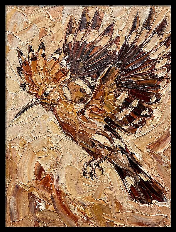 Hoopoe In Flight