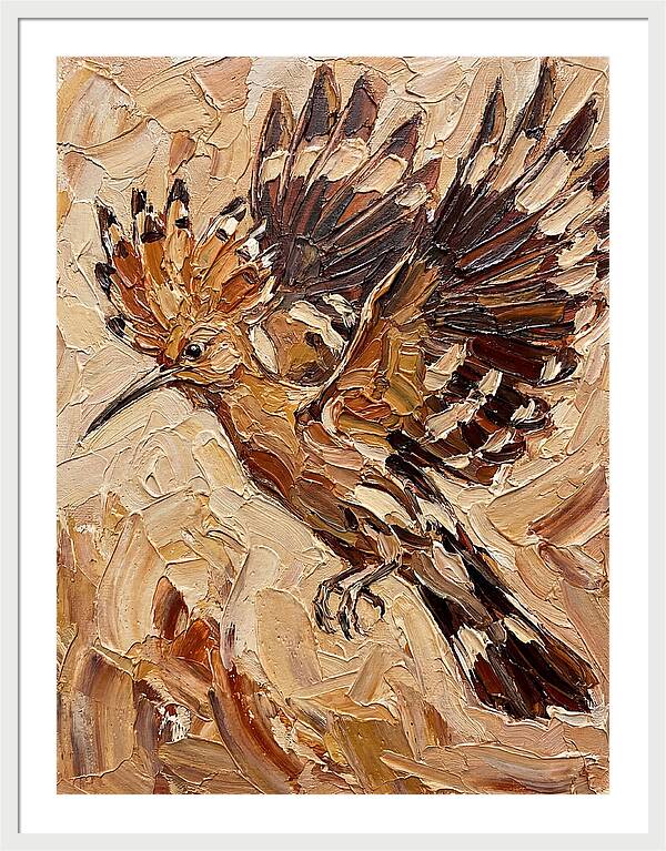 Hoopoe In Flight