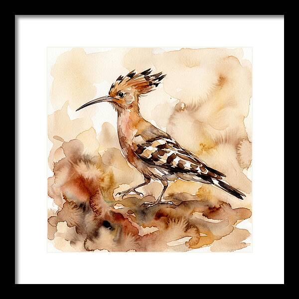Hoopoe In Watercolor