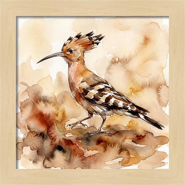 Hoopoe In Watercolor