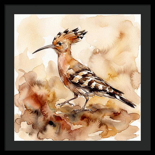 Hoopoe In Watercolor