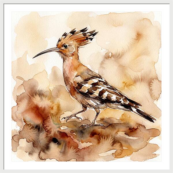 Hoopoe In Watercolor