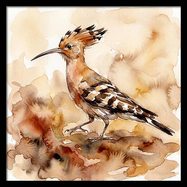 Hoopoe In Watercolor