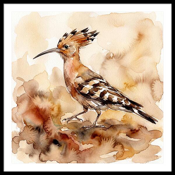 Hoopoe In Watercolor