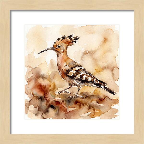 Hoopoe In Watercolor