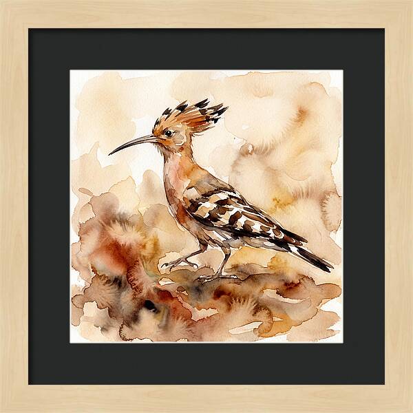Hoopoe In Watercolor