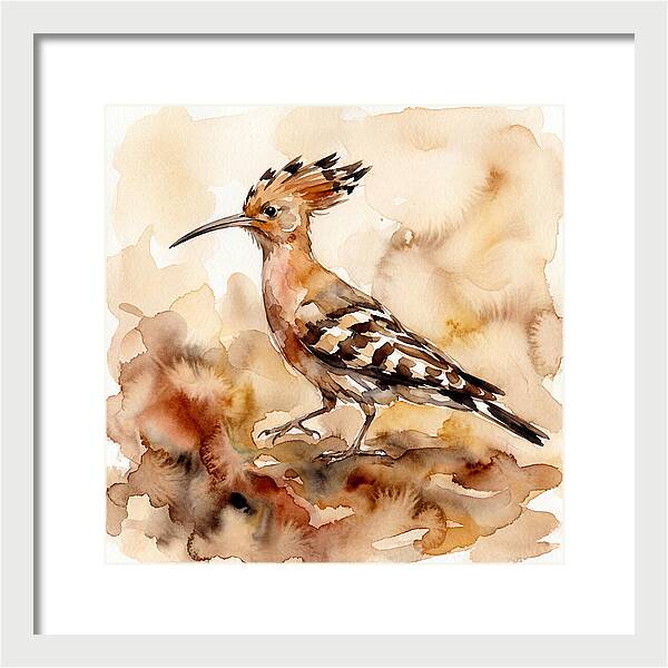 Hoopoe In Watercolor