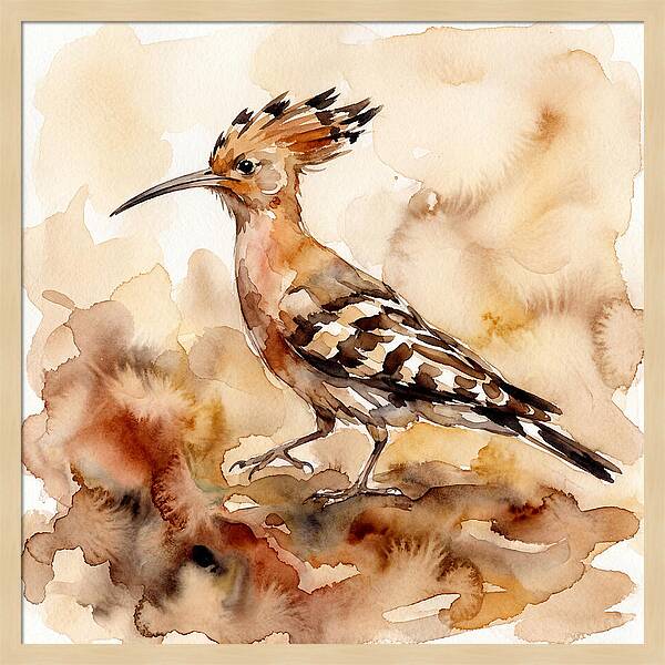 Hoopoe In Watercolor