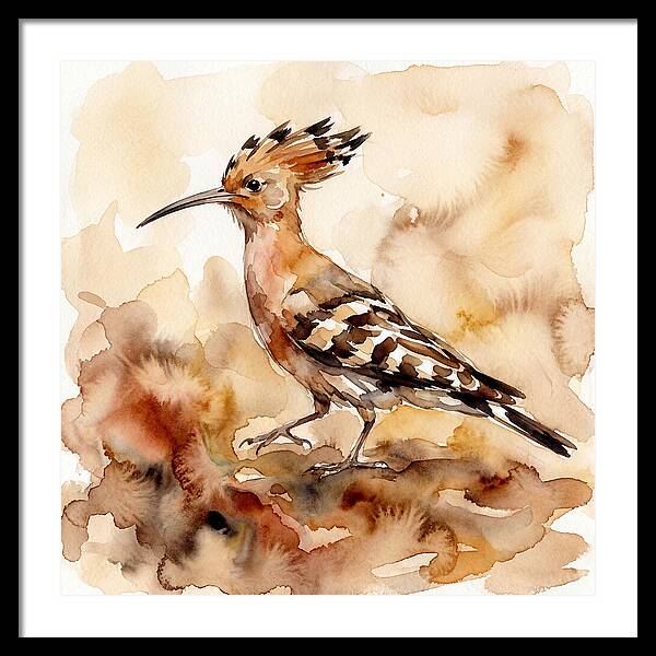Hoopoe In Watercolor