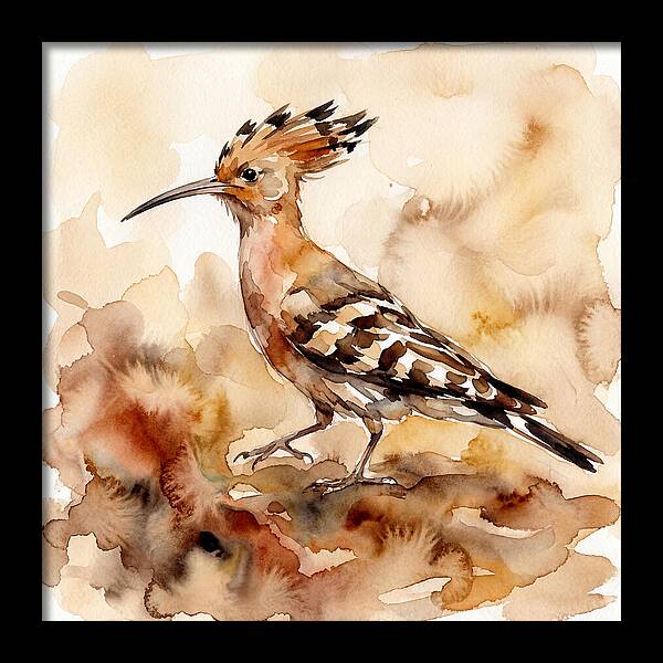 Hoopoe In Watercolor
