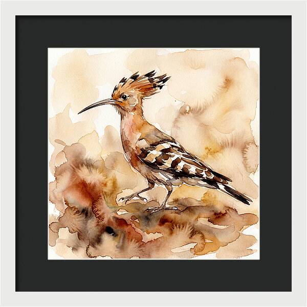 Hoopoe In Watercolor