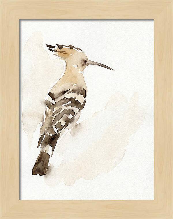 Hoopoe In Watercolor Style