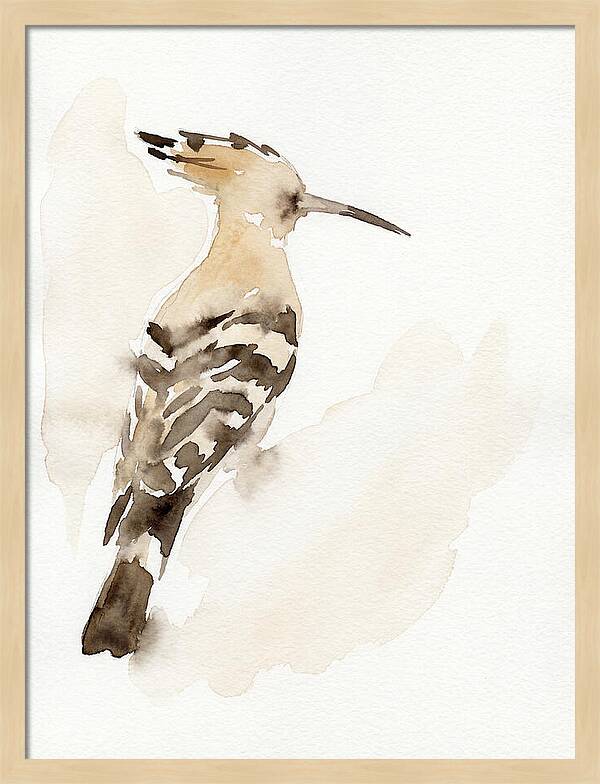Hoopoe In Watercolor Style