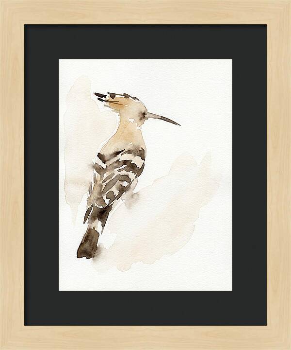 Hoopoe In Watercolor Style